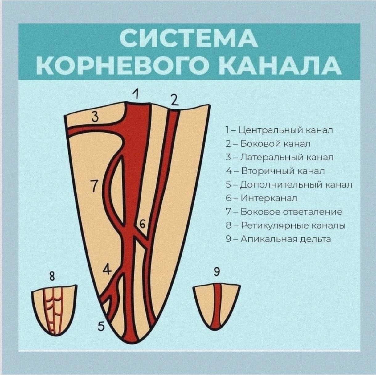 Скрытые патологии